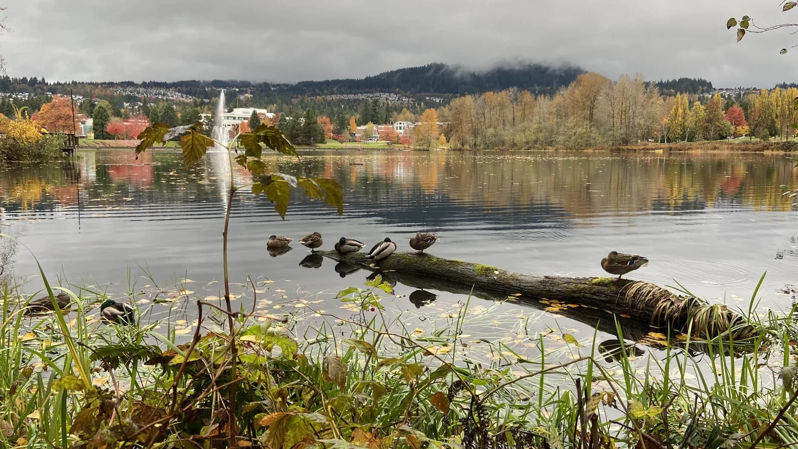 Lafarge Lake, Coquitlam