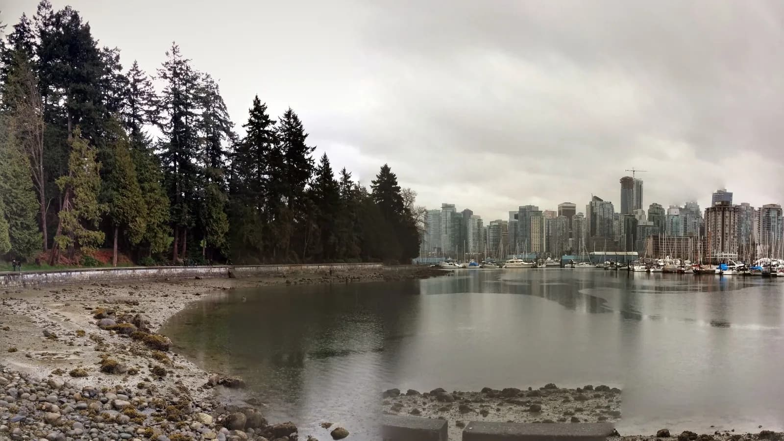 The Vancouver skyline from Stanley Park